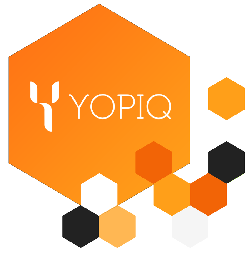 https://yopiq.com/wp-content/uploads/2022/11/Logo-hexagon.png
